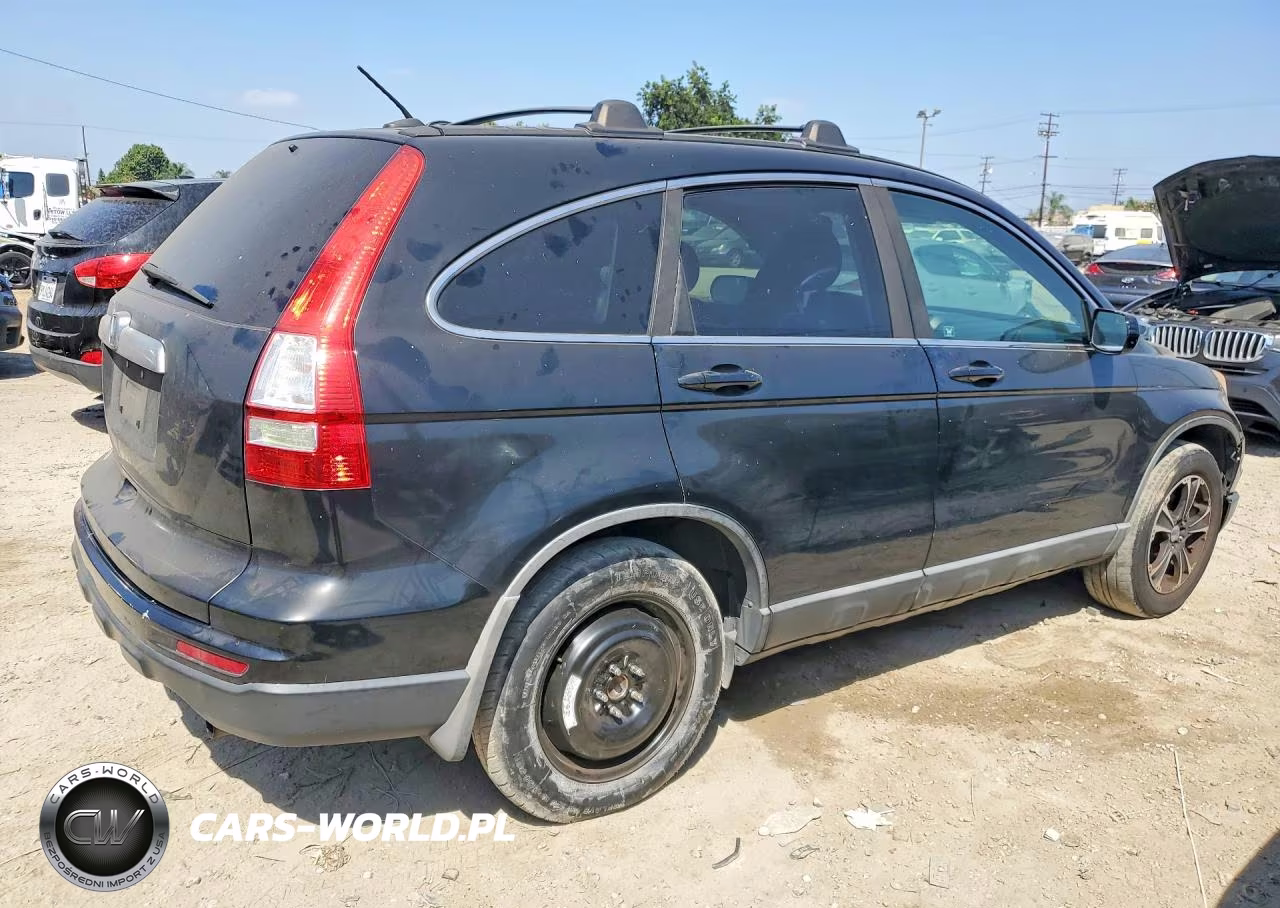 2010 Honda Cr-V Exl VIN:5J6RE3H77AL011826 - 3