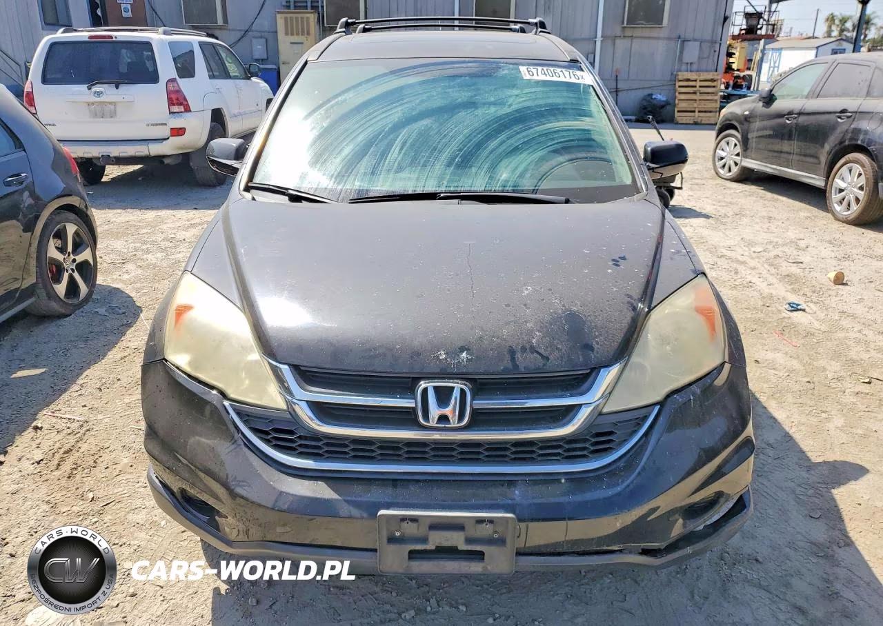2010 Honda Cr-V Exl VIN:5J6RE3H77AL011826 - 5