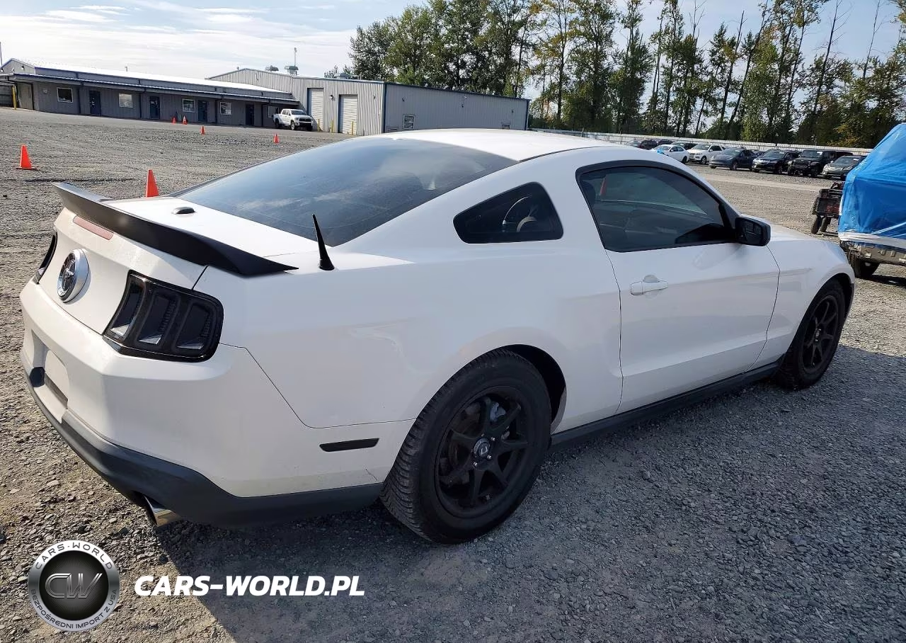 2011 Ford Mustang VIN:1ZVBP8AM1B5137293 - 3
