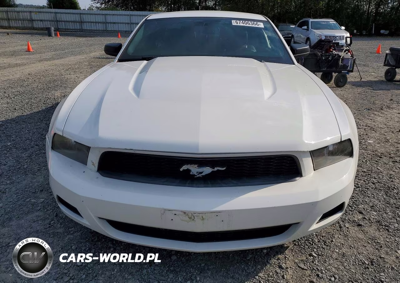 2011 Ford Mustang VIN:1ZVBP8AM1B5137293 - 5