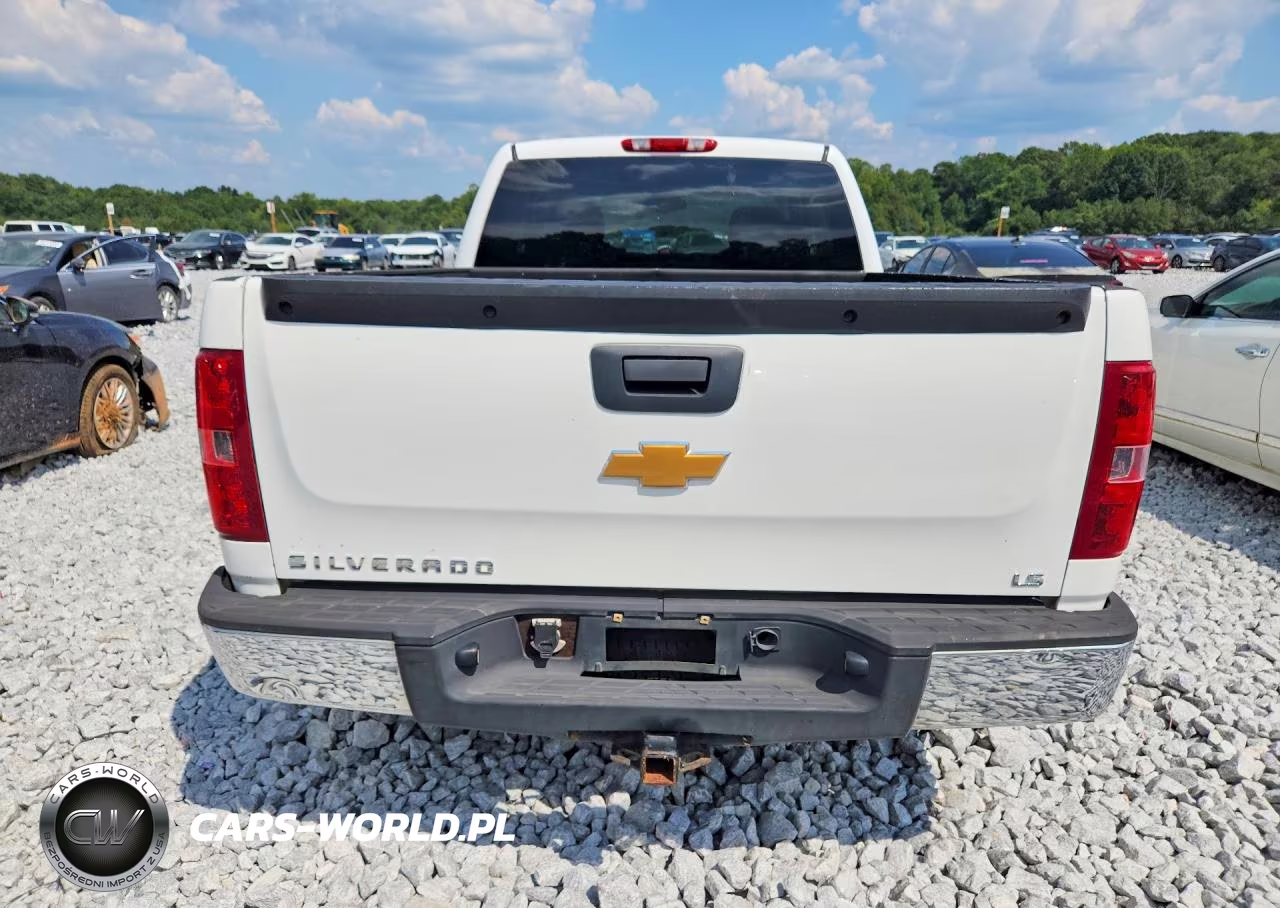 2009 Chevrolet Silverado C1500 VIN:1GCEC19X69Z114323 - 6