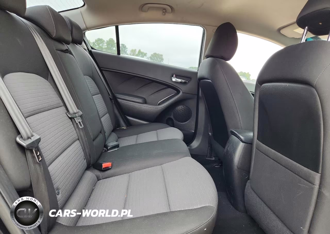 2016 Kia Forte Lx VIN:KNAFX4A68G5446052 - 10