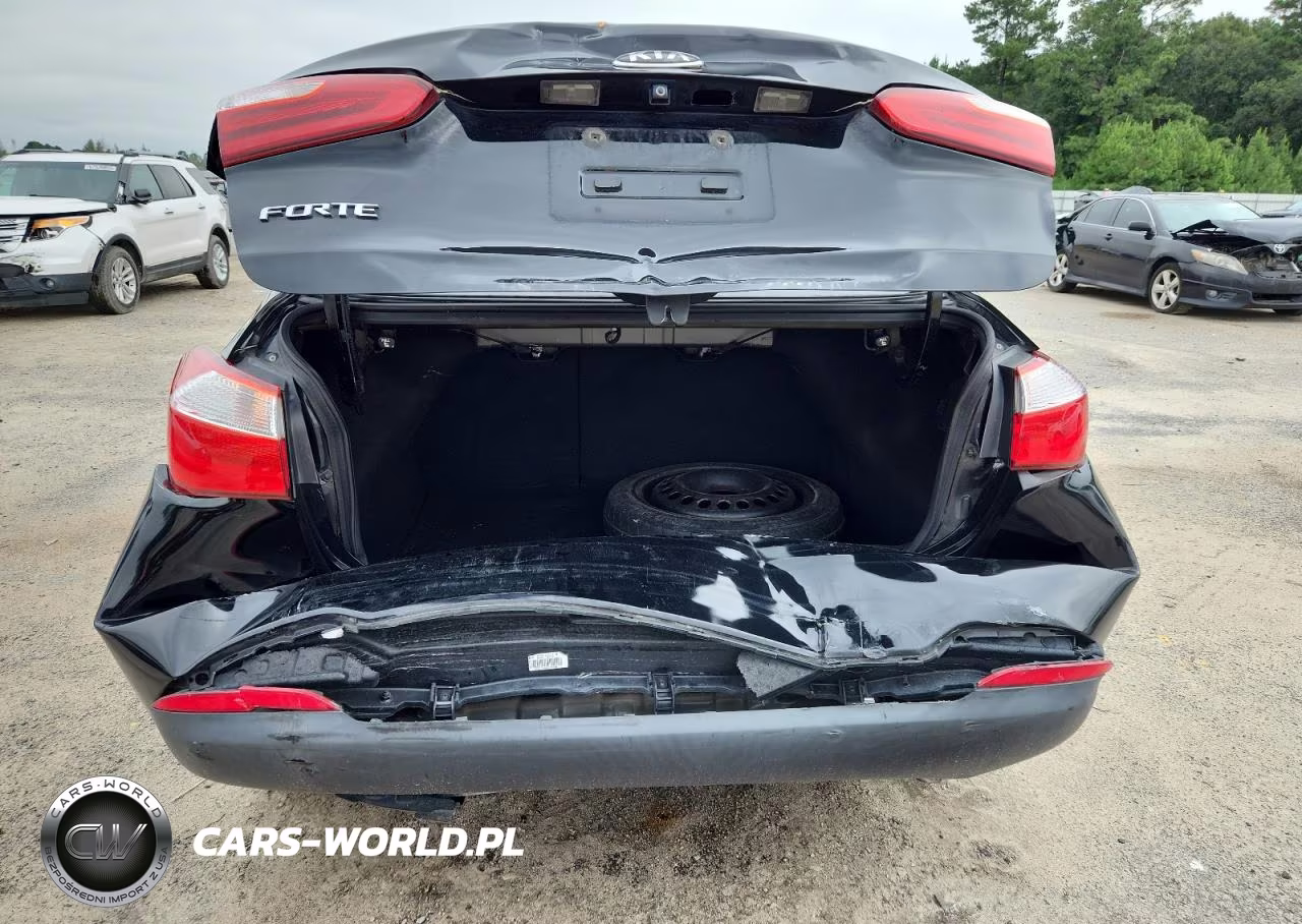 2016 Kia Forte Lx VIN:KNAFX4A68G5446052 - 6