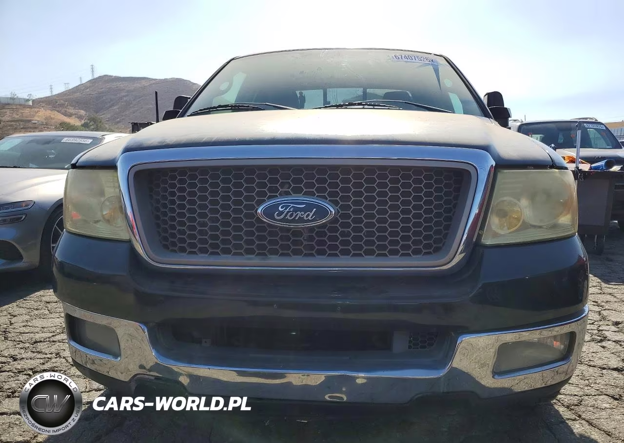 2005 Ford F150 VIN:1FTPX12565NA28405 - 5