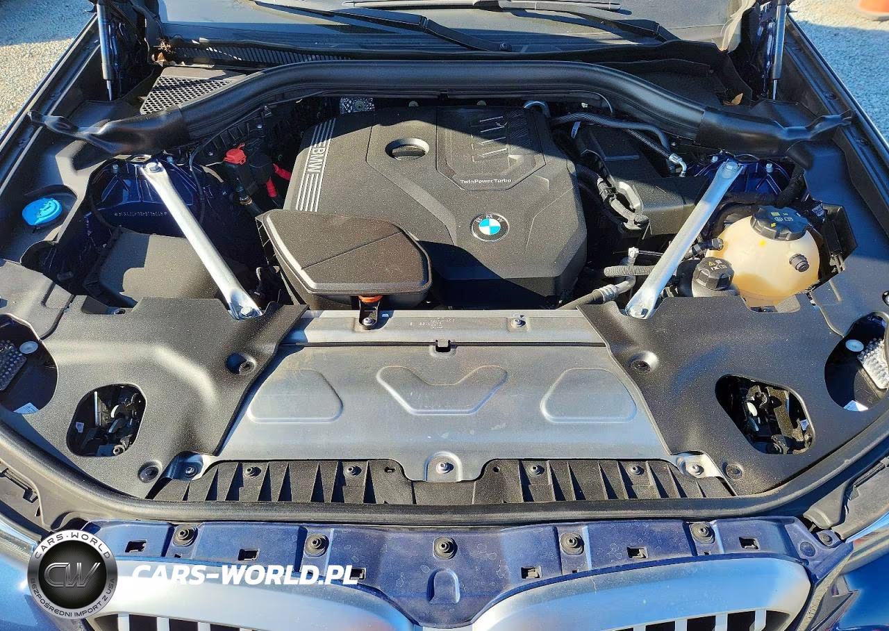 2023 BMW X3 Sdrive30I VIN:5UX43DP08P9T06048 - 12