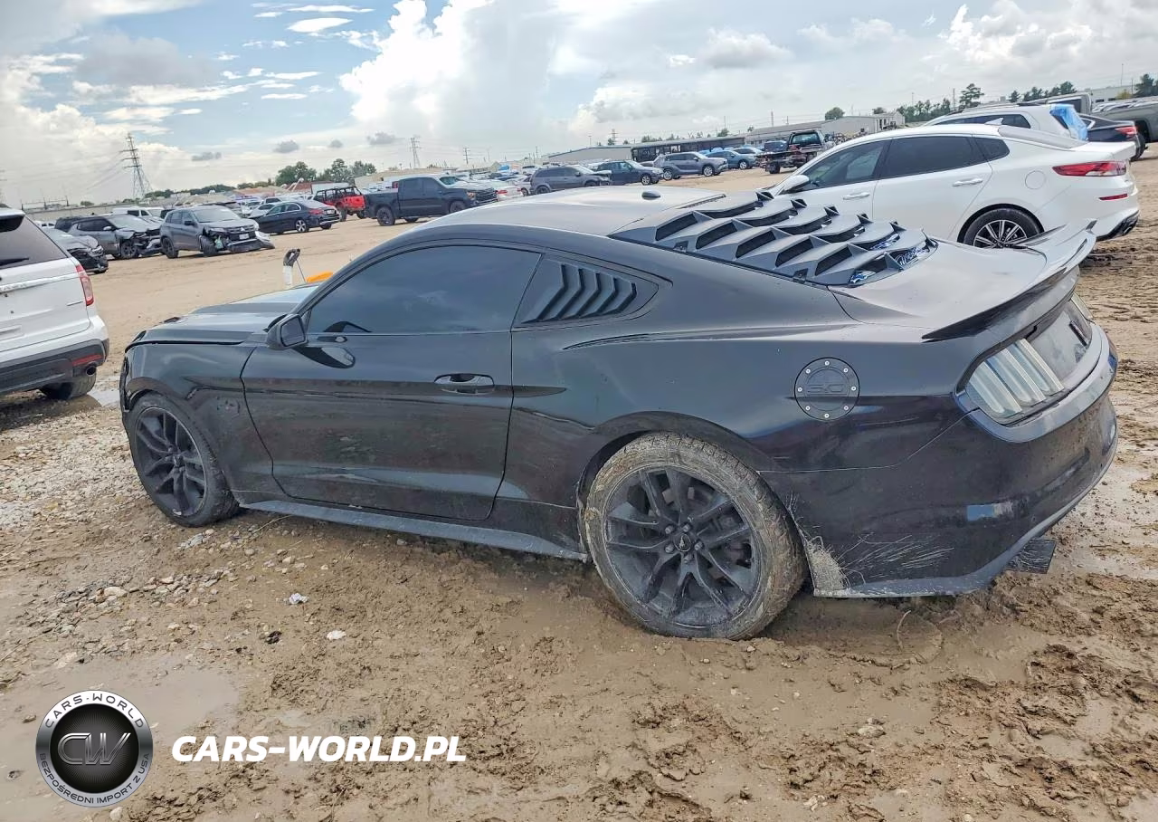 2015 Ford Mustang Gt VIN:1FA6P8CF6F5302236 - 2