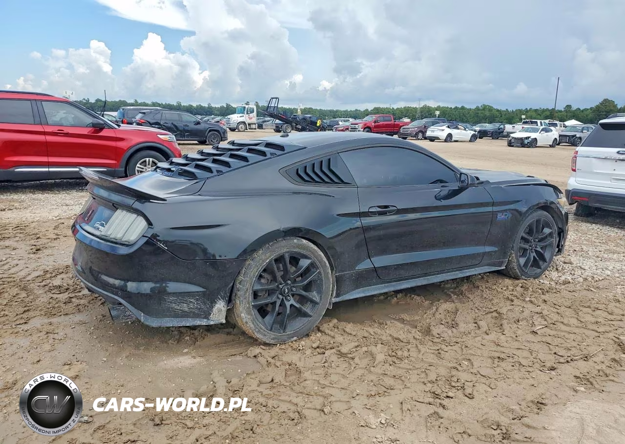 2015 Ford Mustang Gt VIN:1FA6P8CF6F5302236 - 3