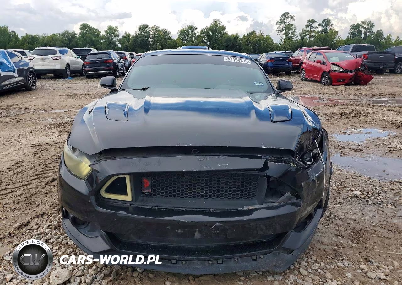 2015 Ford Mustang Gt VIN:1FA6P8CF6F5302236 - 5
