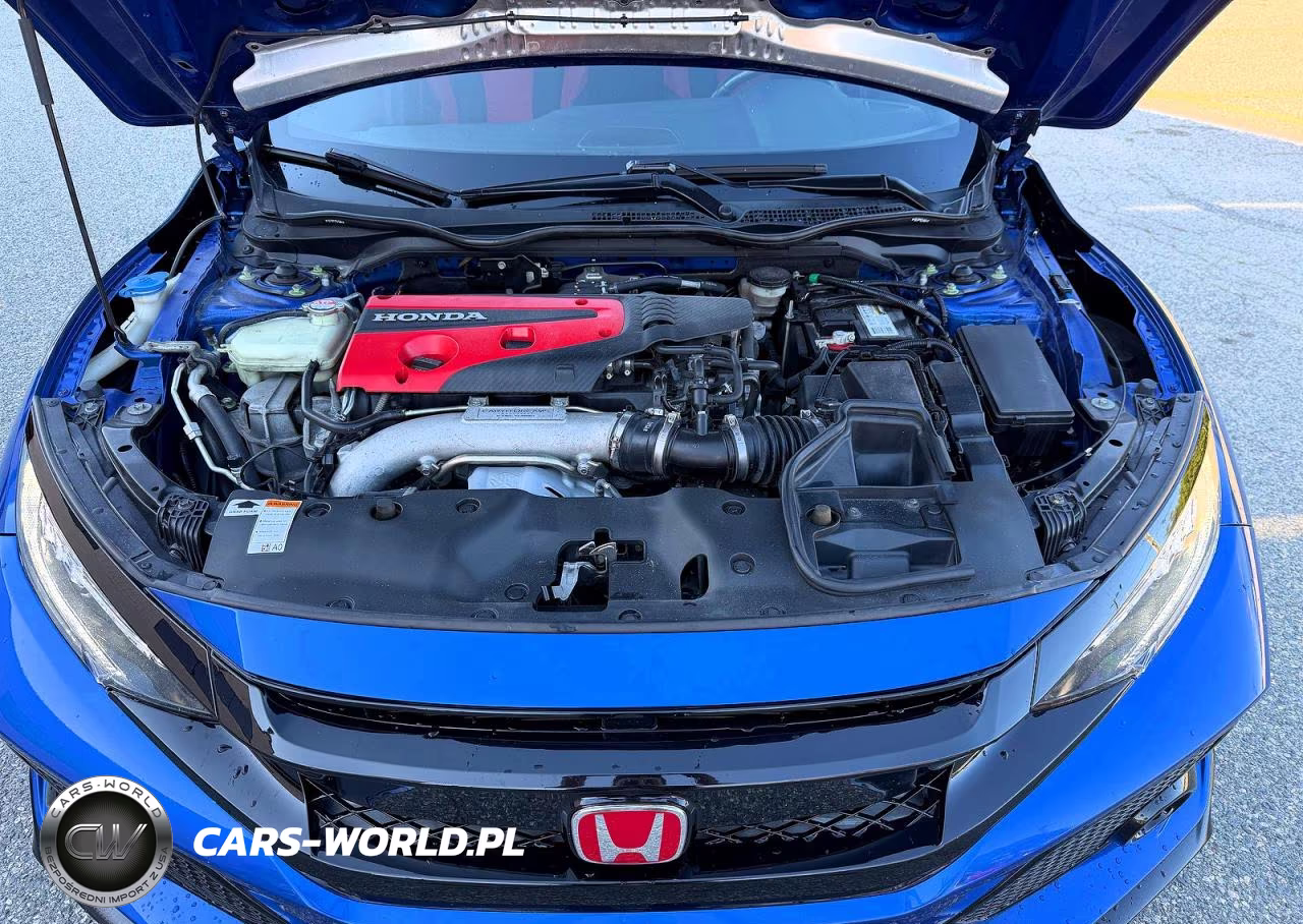 HONDA CIVIC TYPE VIN:SHHFK8G7XKU202594 - 7