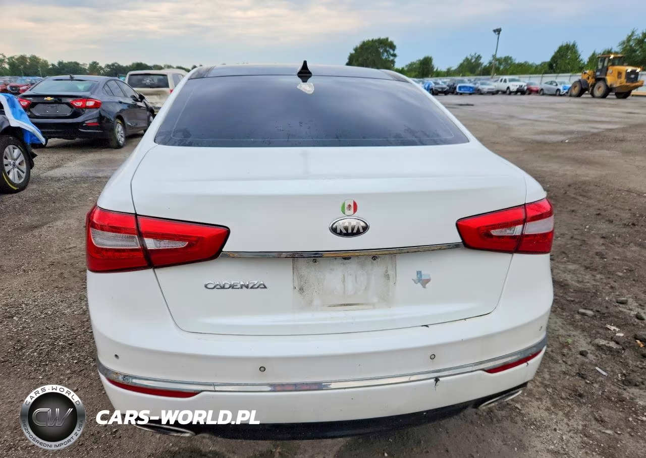 2014 Kia Cadenza Premium VIN:KNALN4D75E5121143 - 6