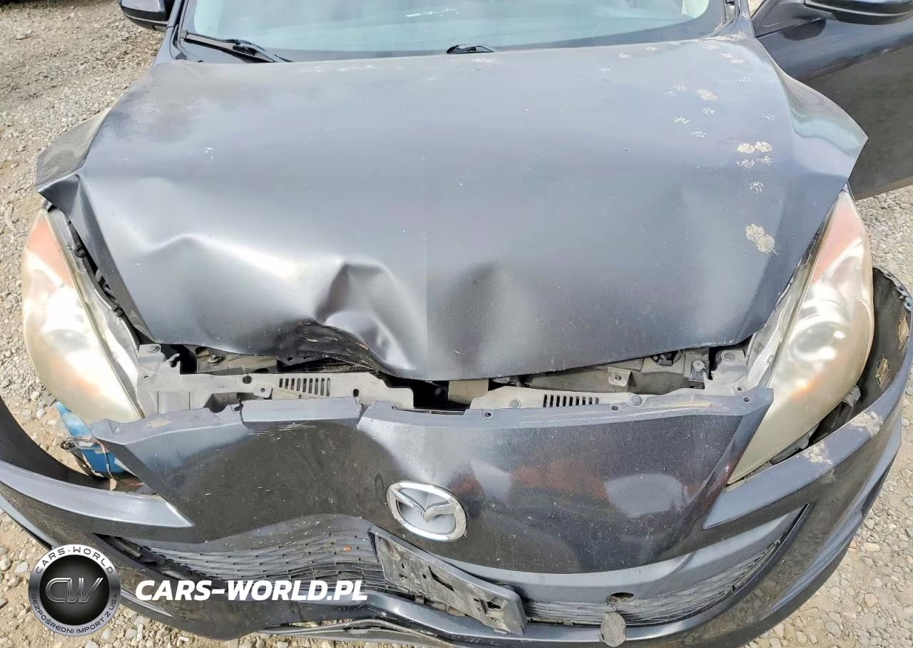 2010 Mazda 3 I VIN:JM1BL1SGXA1310975 - 11