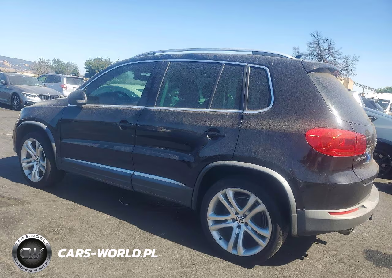 2013 Volkswagen Tiguan S VIN:WVGAV3AX3DW584461 - 2