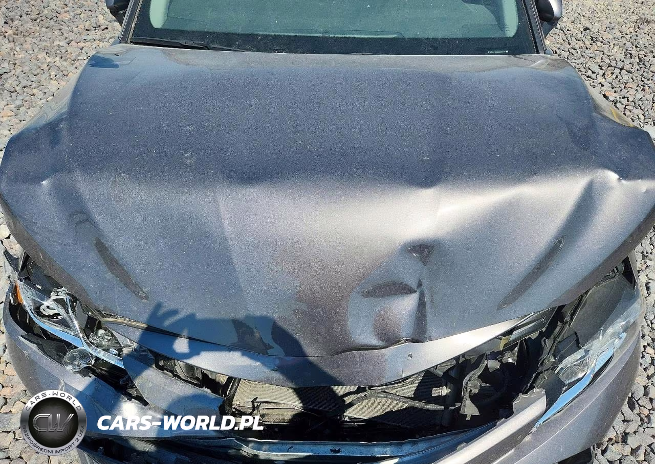 2019 Toyota Camry Le VIN:4T1B11HK6KU686487 - 11