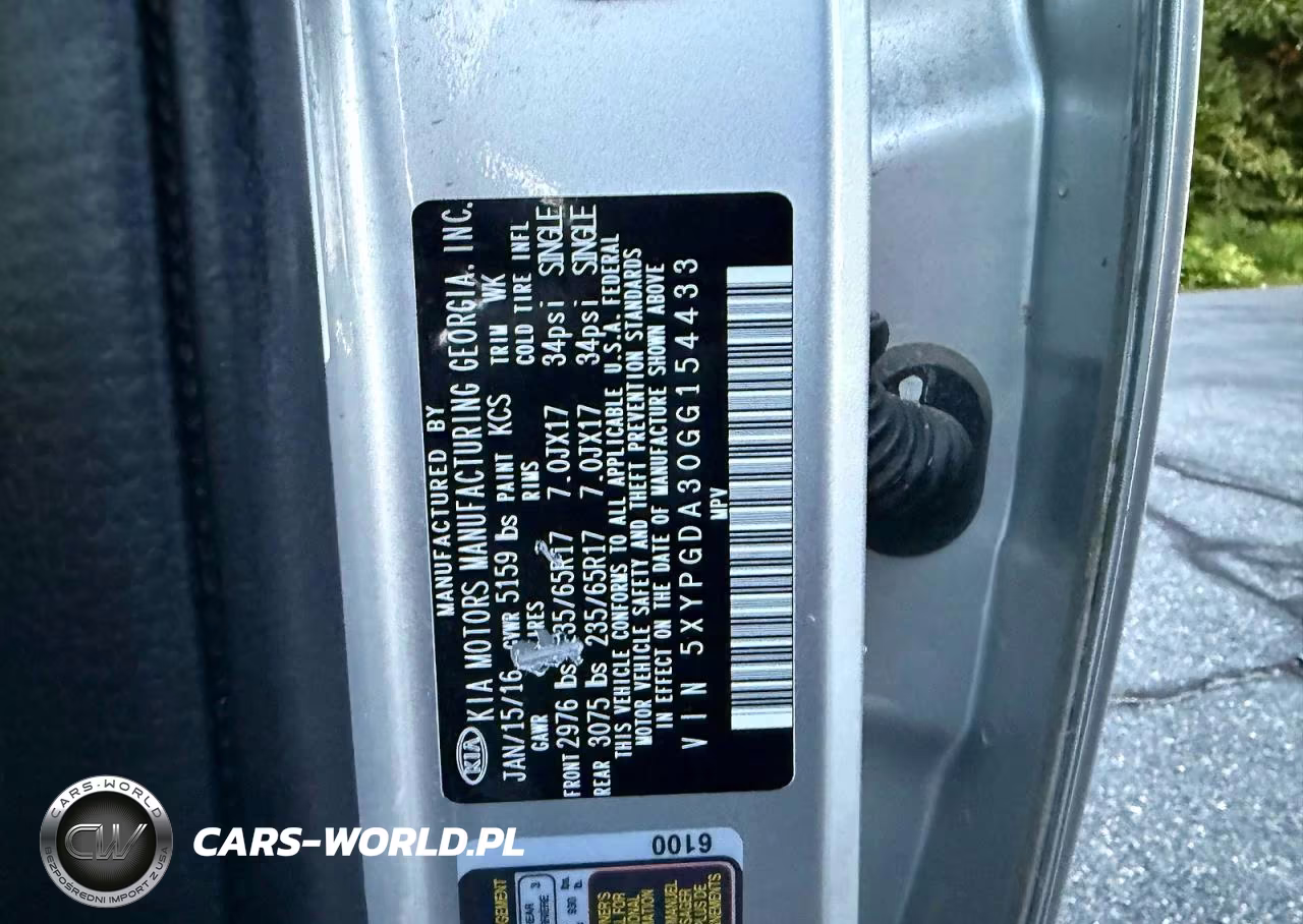 2016 Kia Sorento Lx VIN:5XYPGDA30GG154433 - 10