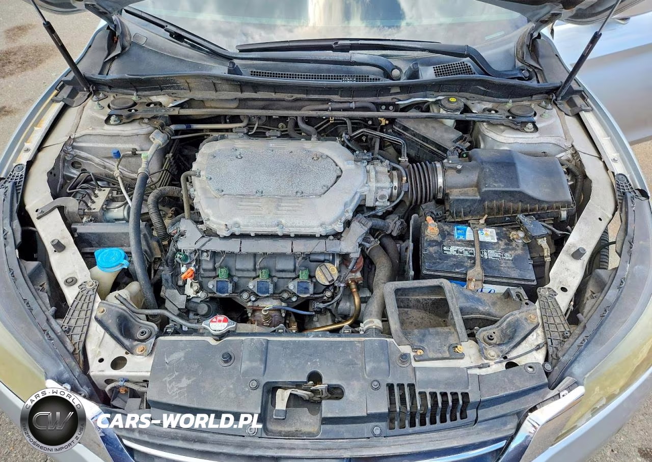 2014 Honda Accord Exl VIN:1HGCR3F88EA031789 - 11
