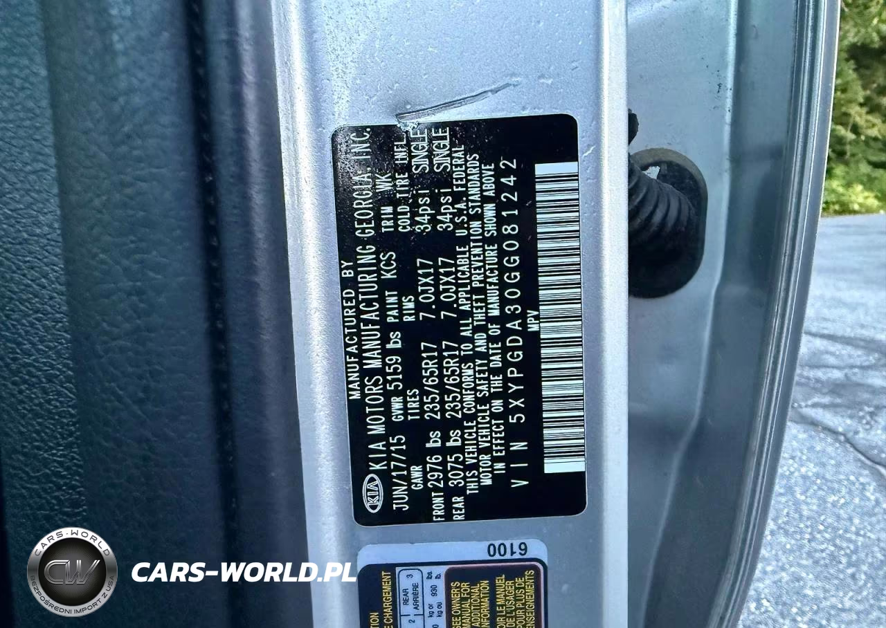 2016 Kia Sorento Lx VIN:5XYPGDA30GG081242 - 10