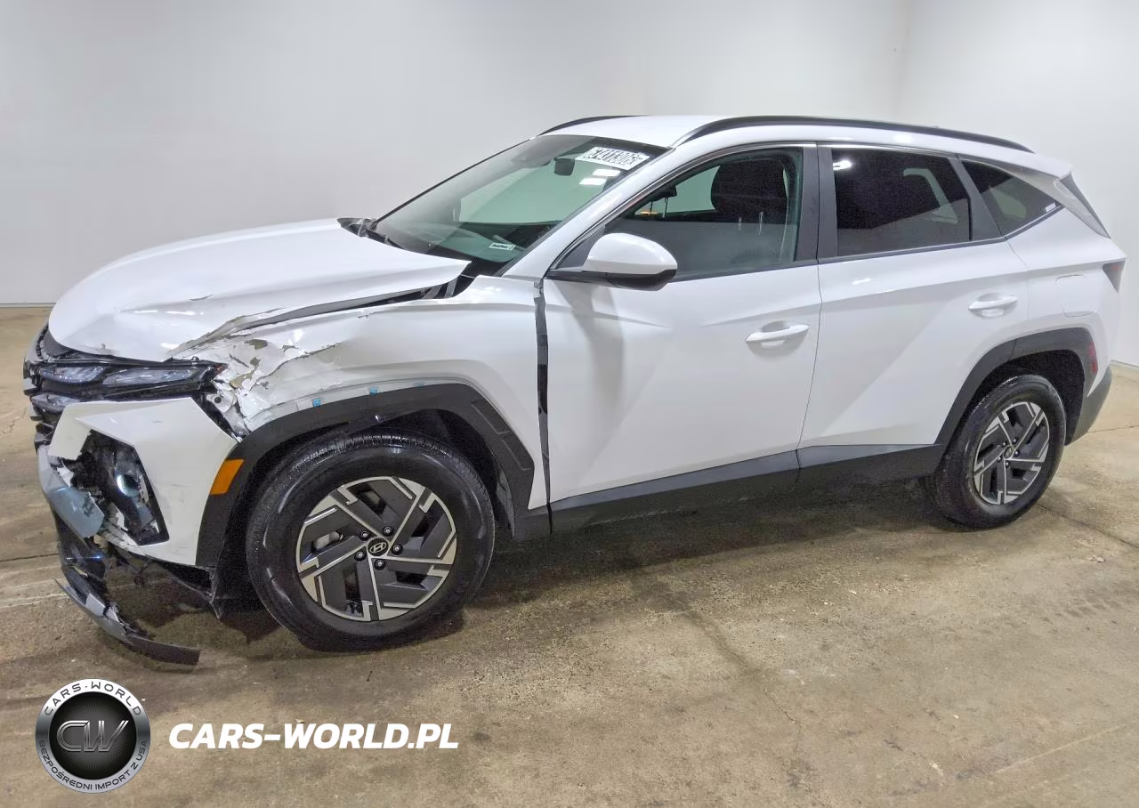 2025 Hyundai Tucson Blue VIN:KM8JBDD11SU310139 - 1