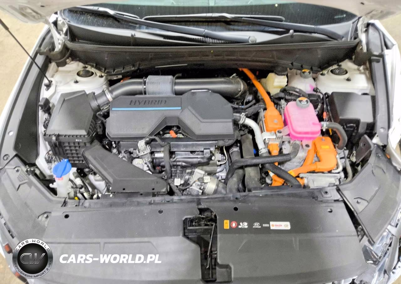 2025 Hyundai Tucson Blue VIN:KM8JBDD11SU310139 - 12