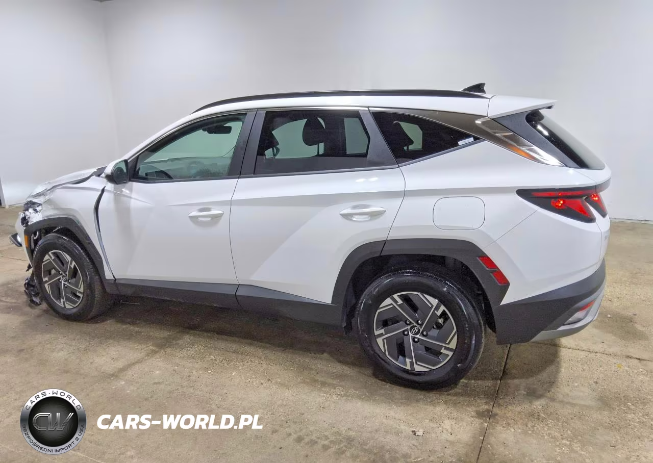 2025 Hyundai Tucson Blue VIN:KM8JBDD11SU310139 - 2