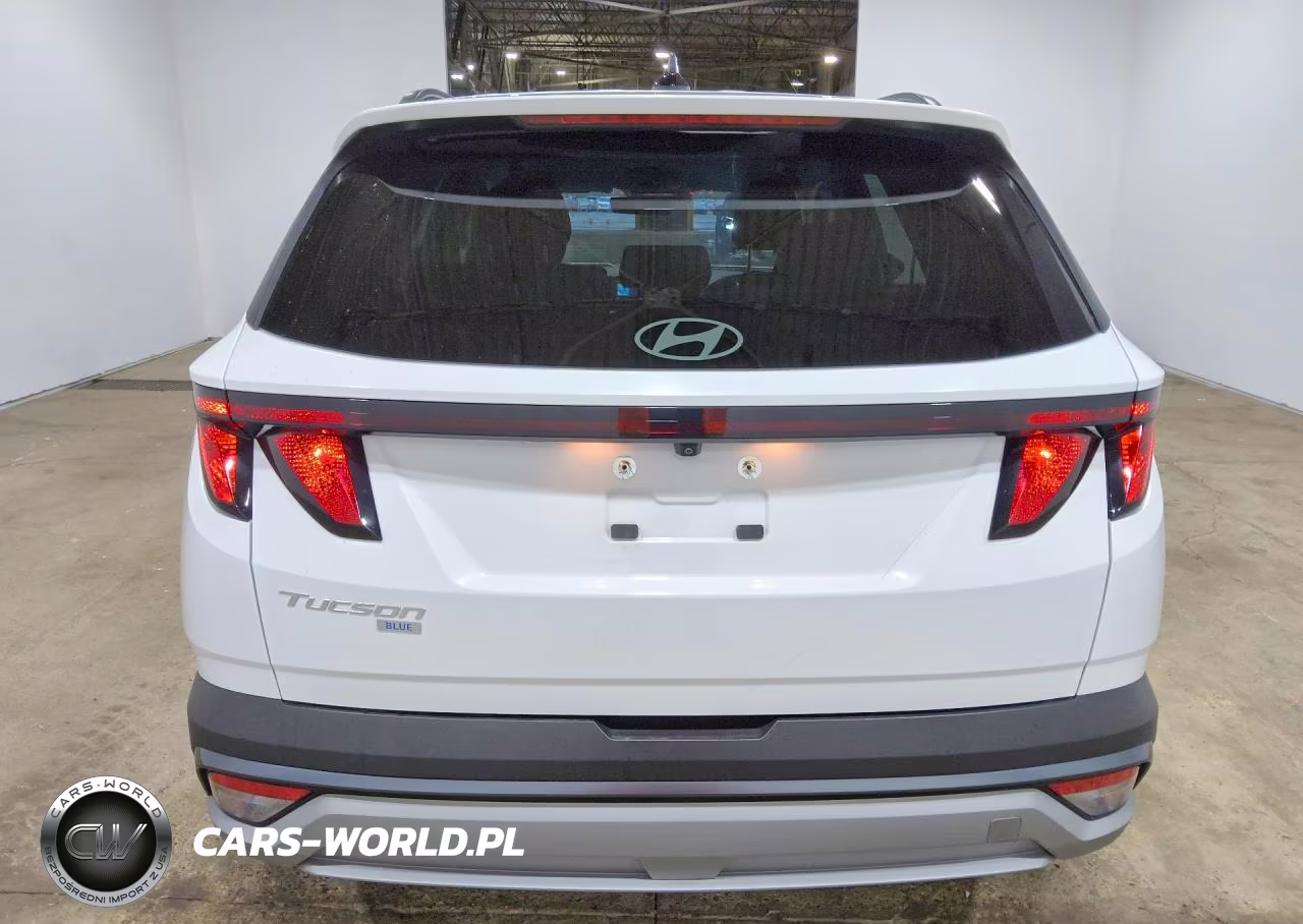 2025 Hyundai Tucson Blue VIN:KM8JBDD11SU310139 - 6