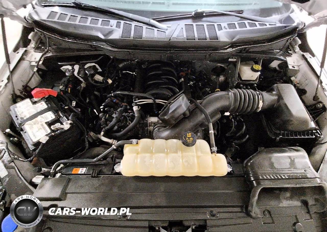 2021 Ford F150 Super Cab VIN:1FTFX1E53MFC65465 - 11