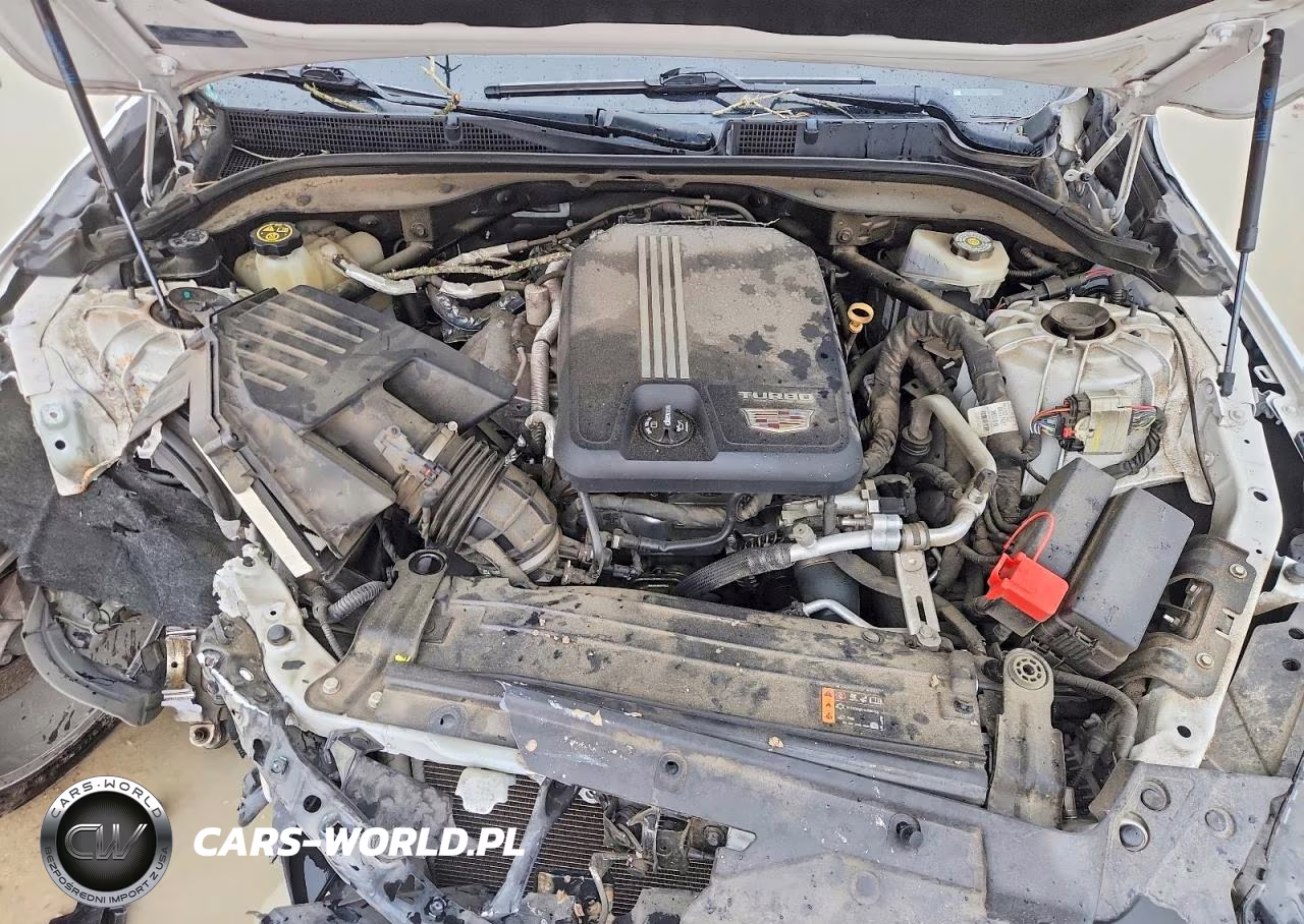 2020 Cadillac Ct5 Luxury VIN:1G6DW5RK6L0156410 - 11