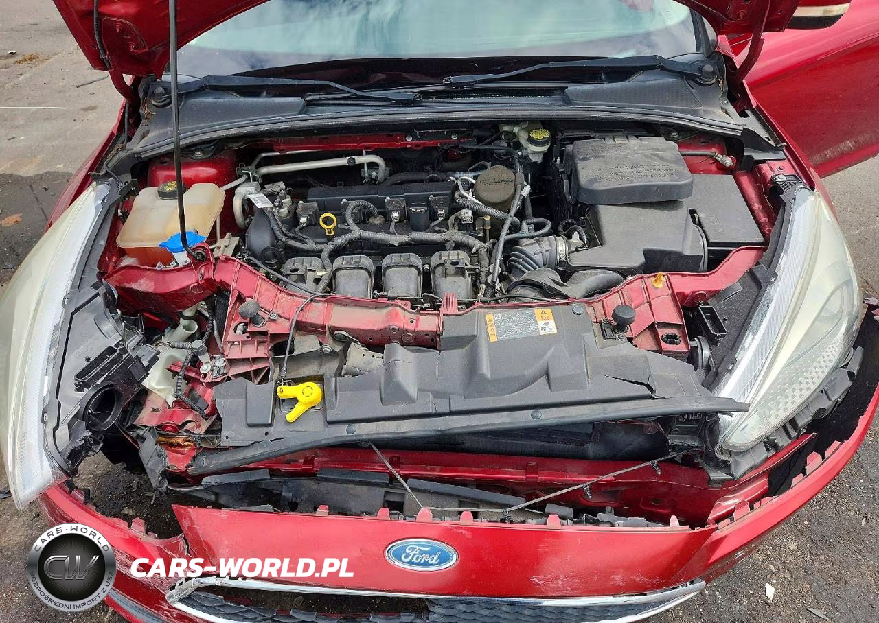 2016 Ford Focus Se VIN:1FADP3F23GL266330 - 11