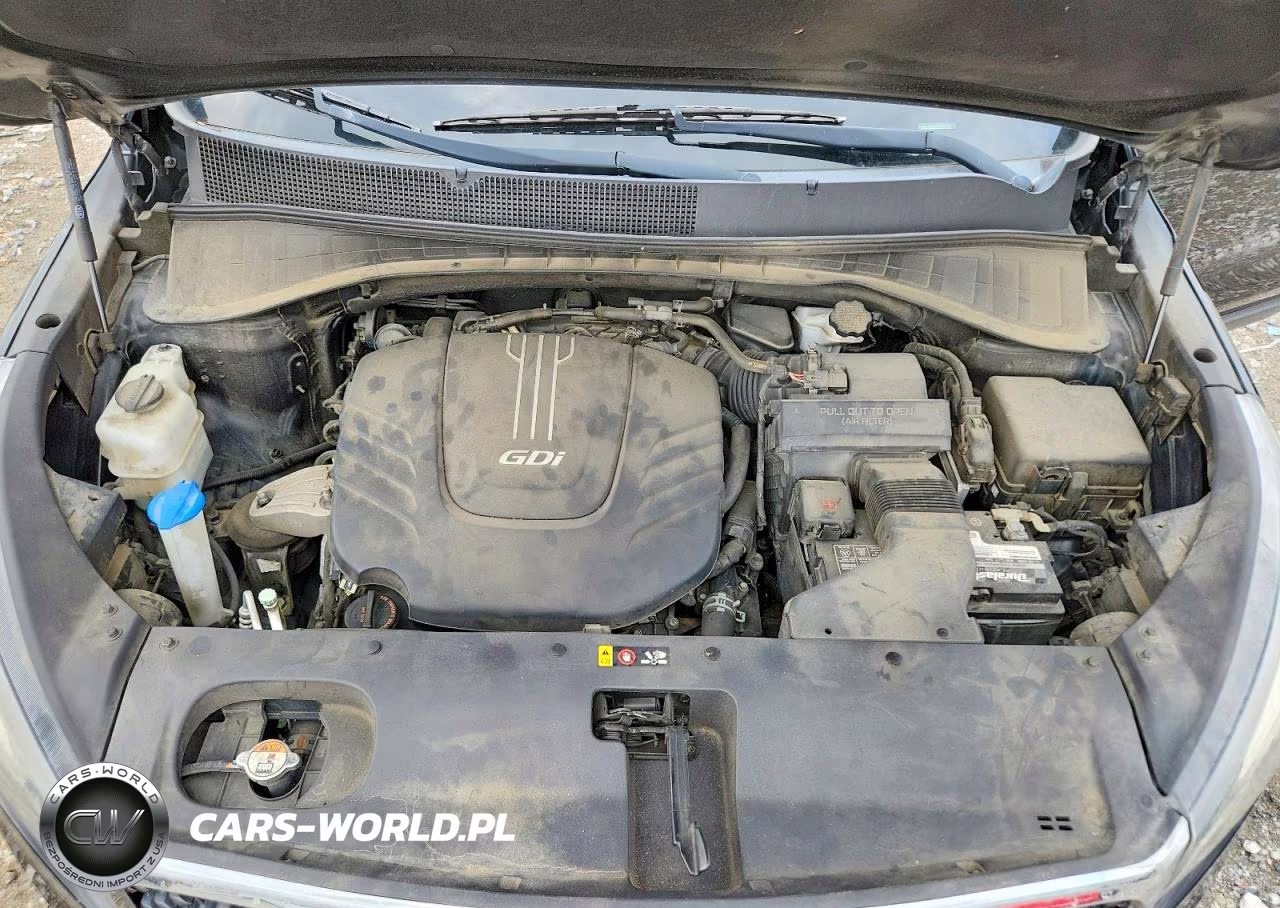 2017 Kia Sorento Lx V6 VIN:5XYPGDA50HG314720 - 12