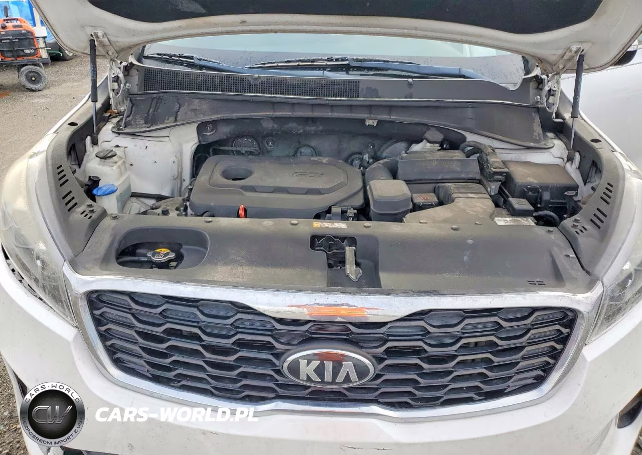 2019 Kia Sorento VIN:5XYPG4A38KG541336 - 12