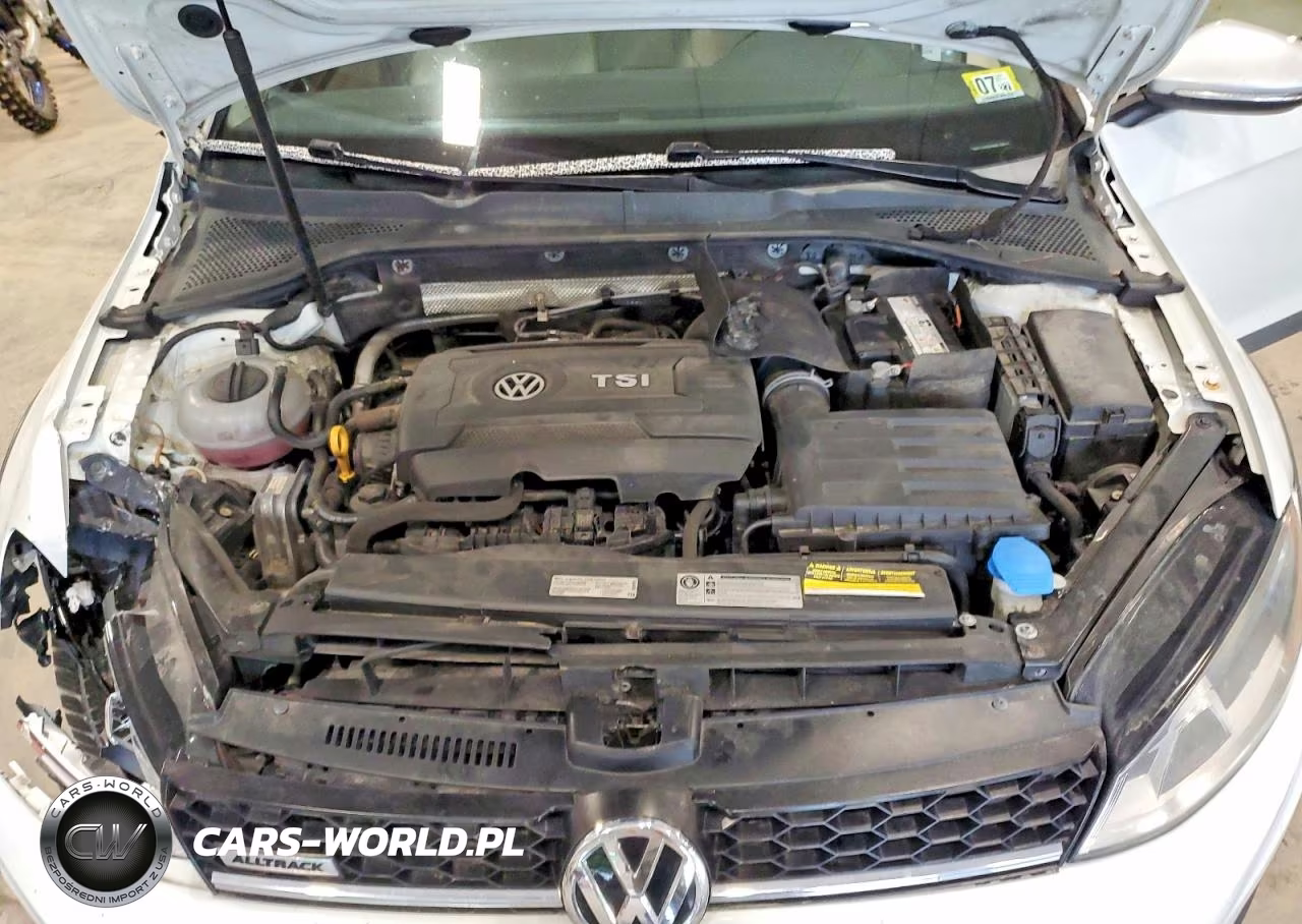 2017 Volkswagen Golf Alltrack S VIN:3VWH17AU9HM519015 - 12