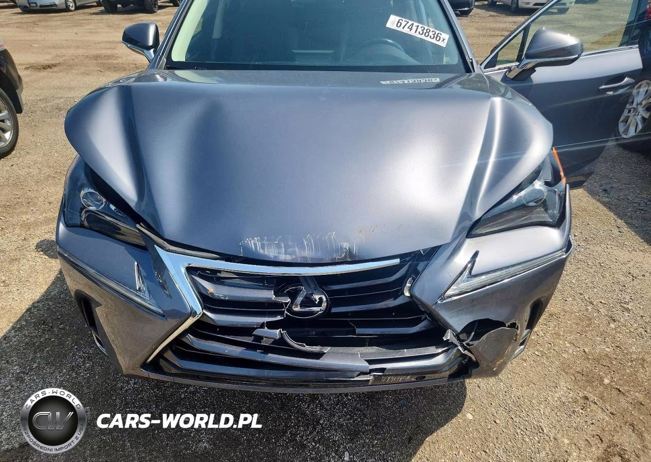 2017 Lexus Nx 200T Base VIN:JTJBARBZXH2140656 - 11