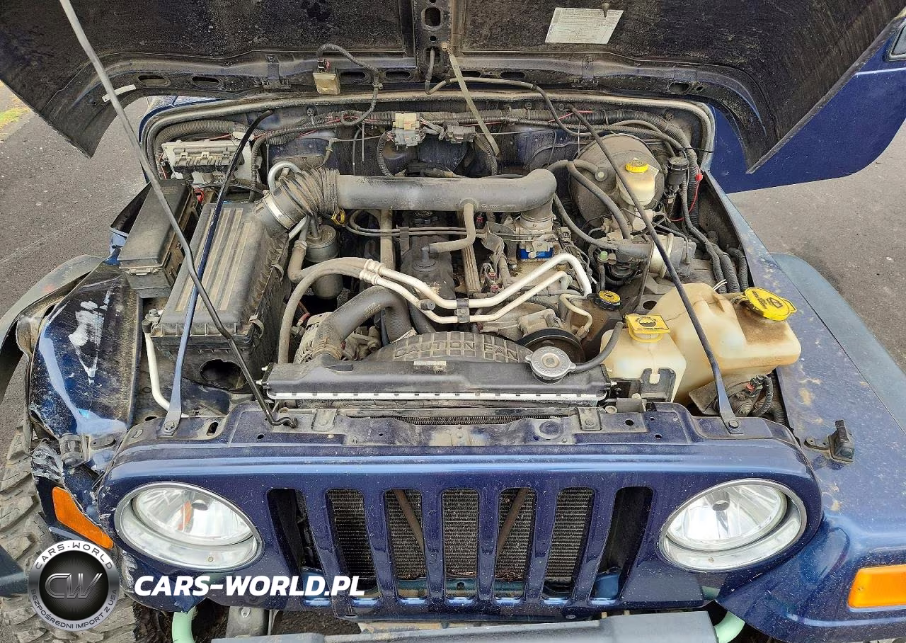 2004 Jeep Wrangler - Tj Rubicon VIN:1J4FA69S04P755378 - 11