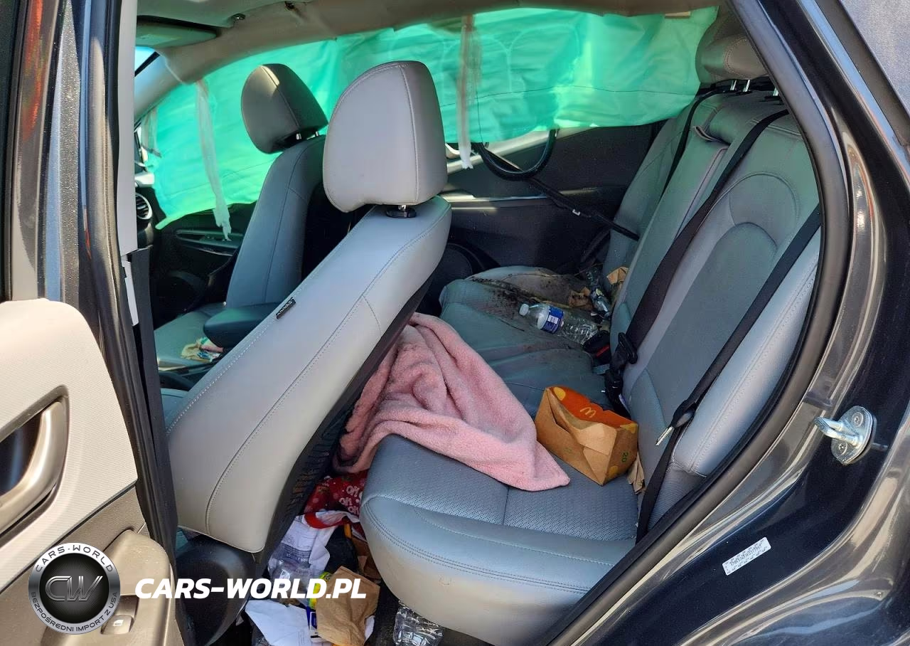 2019 Hyundai Kona Ultimate VIN:KM8K53A53KU373997 - 10