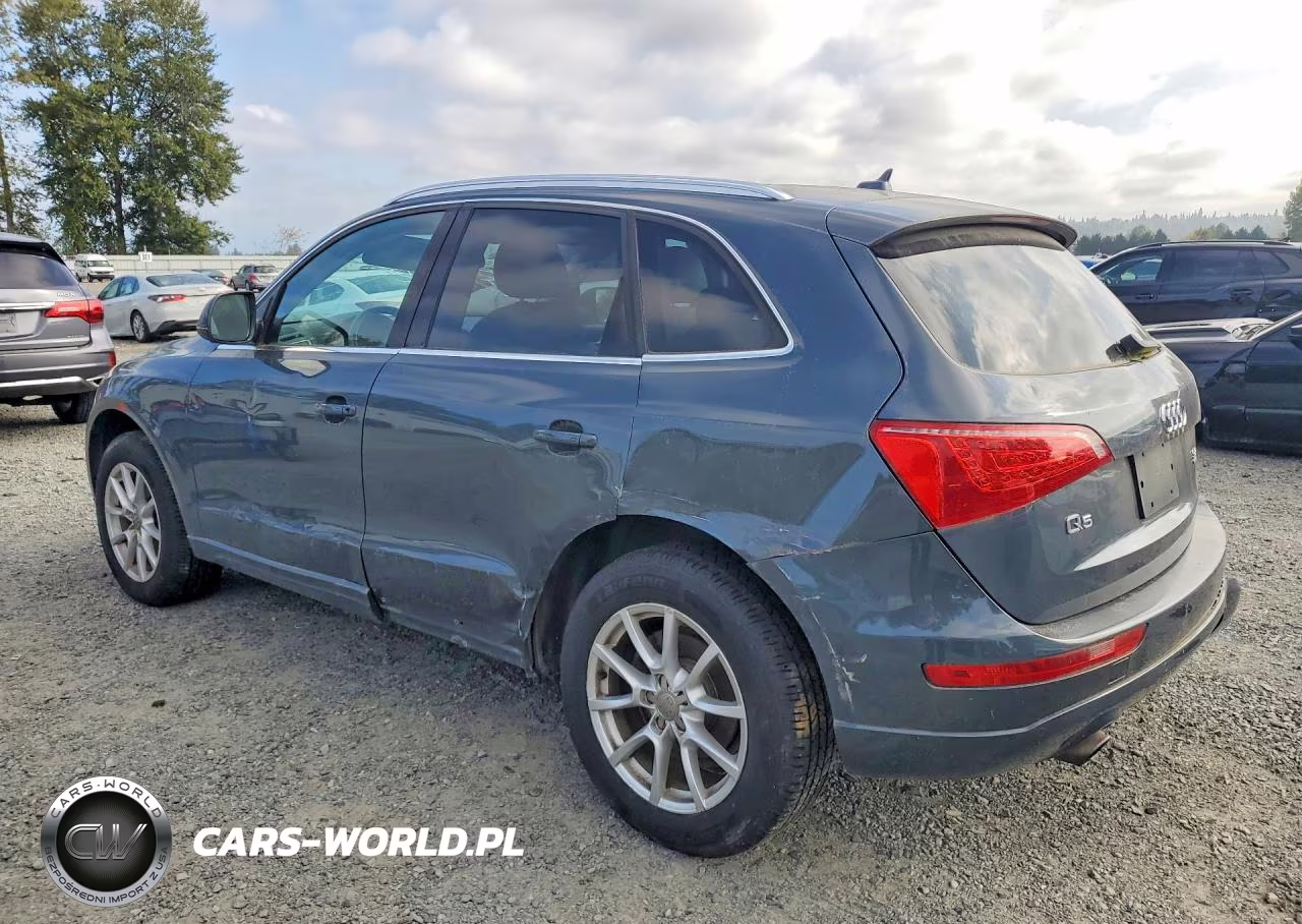 2010 Audi Q5 Premium Plus VIN:WA1LKAFP2AA024436 - 2