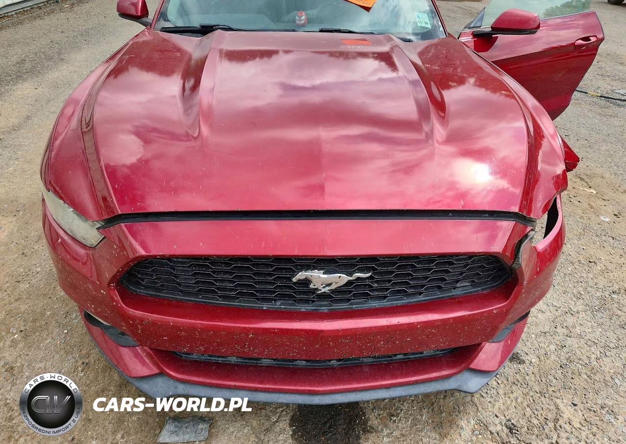 2016 Ford Mustang VIN:1FA6P8TH1G5317505 - 11
