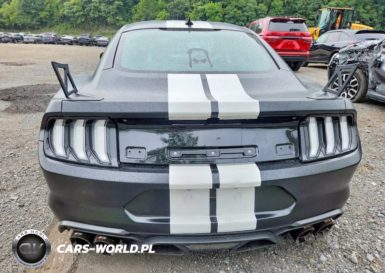 2020 Ford Mustang Shelby Gt500 VIN:1FA6P8SJ8L5504674 - 6