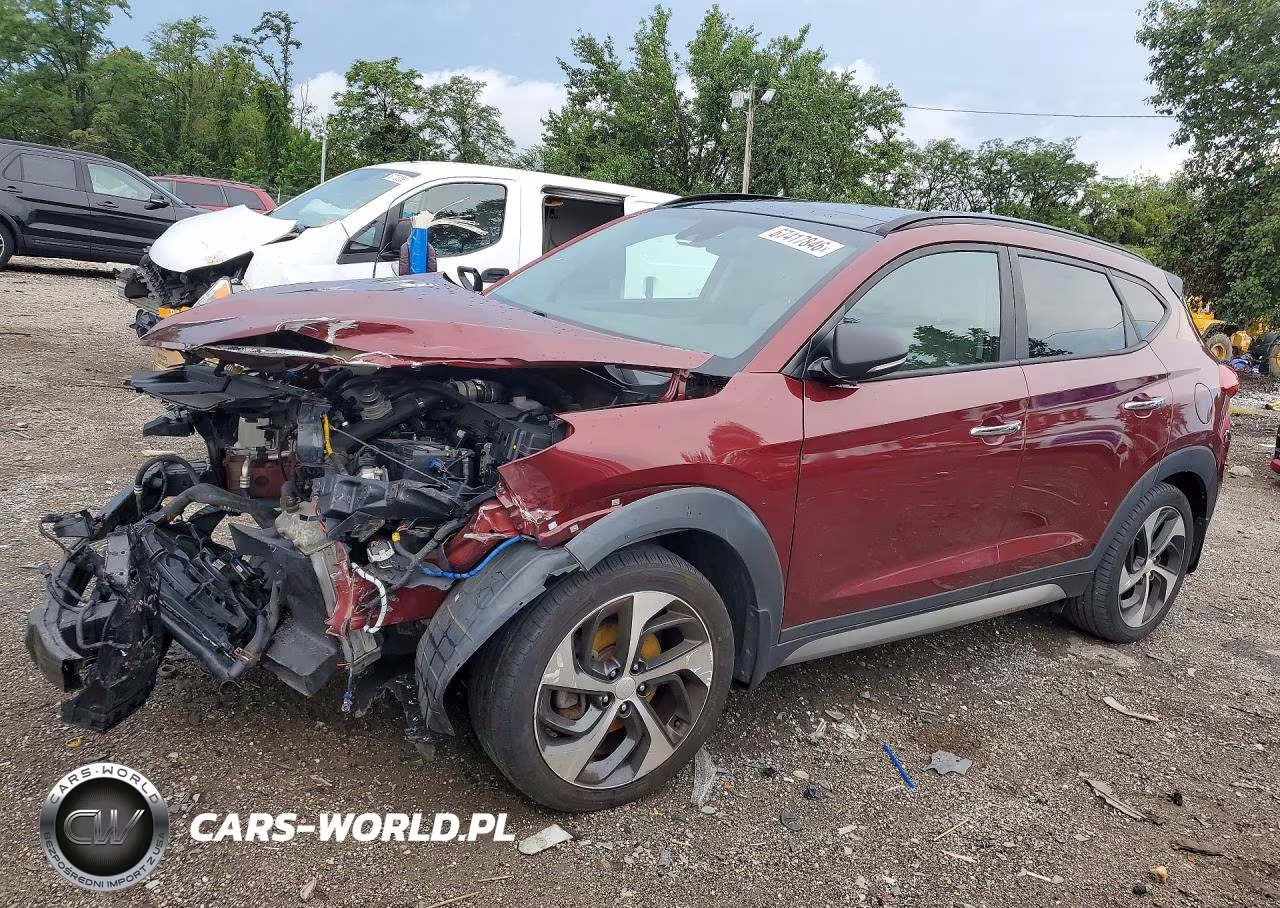 2017 Hyundai Tucson Limited VIN:KM8J3CA28HU294079 - 1