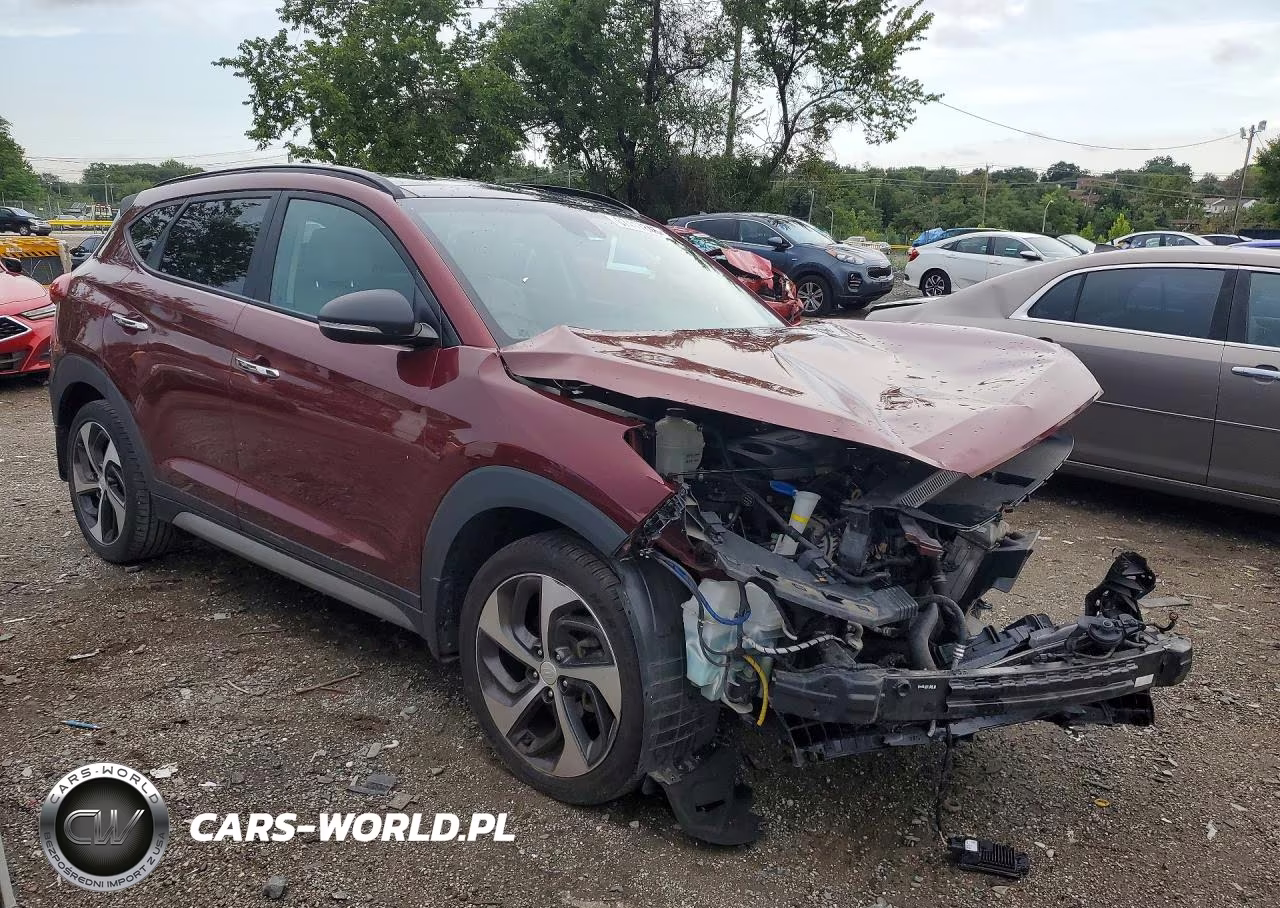 2017 Hyundai Tucson Limited VIN:KM8J3CA28HU294079 - 4