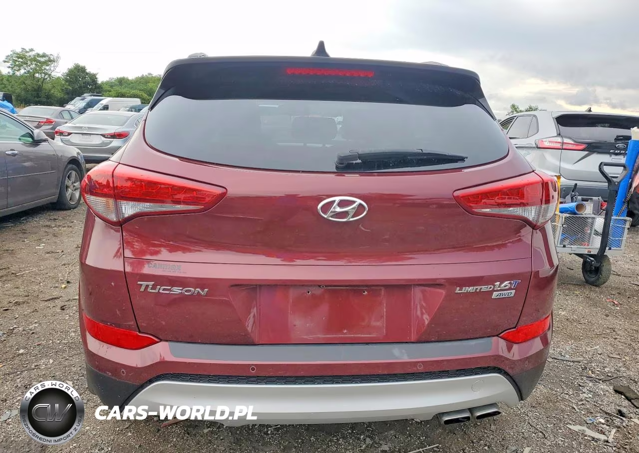 2017 Hyundai Tucson Limited VIN:KM8J3CA28HU294079 - 6