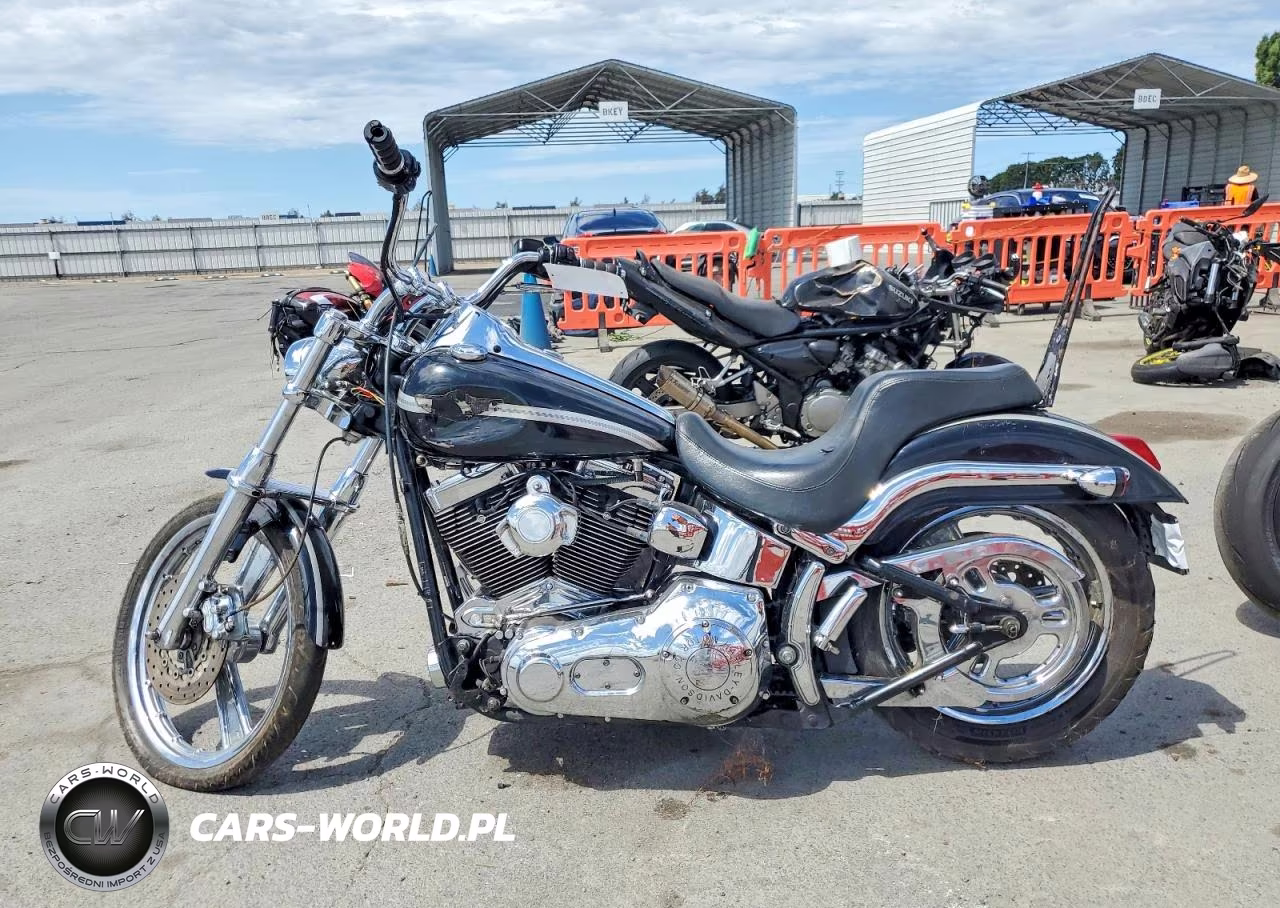 2003 Harley-Davidson Fxstdi VIN:1HD1JBB193Y040889 - 3