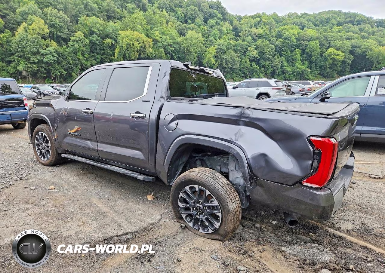 2025 Toyota Tundra Crewmax Limited VIN:5TFJA5DBXSX314842 - 2
