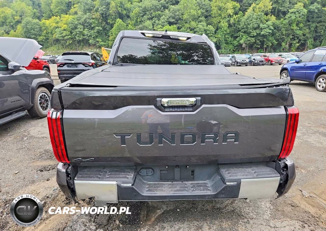 2025 Toyota Tundra Crewmax Limited VIN:5TFJA5DBXSX314842 - 6