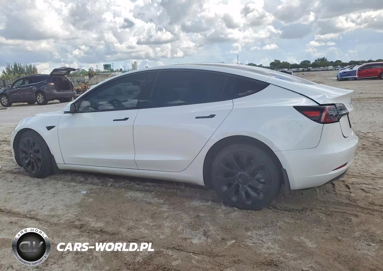 2023 Tesla Model 3 VIN:5YJ3E1EA9PF462851 - 2