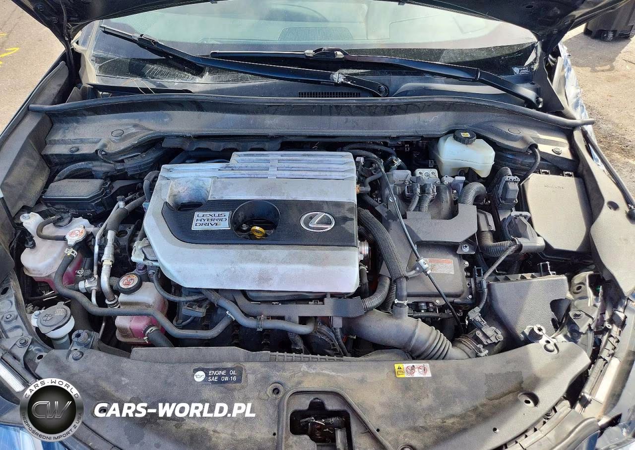 2021 Lexus Ux 250H VIN:JTHE9JBHXM2045265 - 12