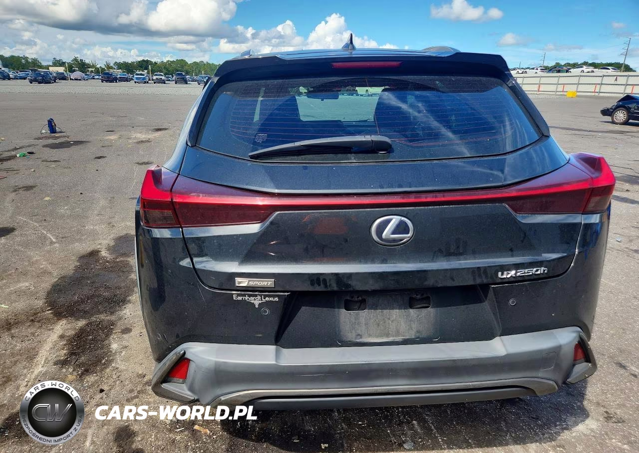2021 Lexus Ux 250H VIN:JTHE9JBHXM2045265 - 6