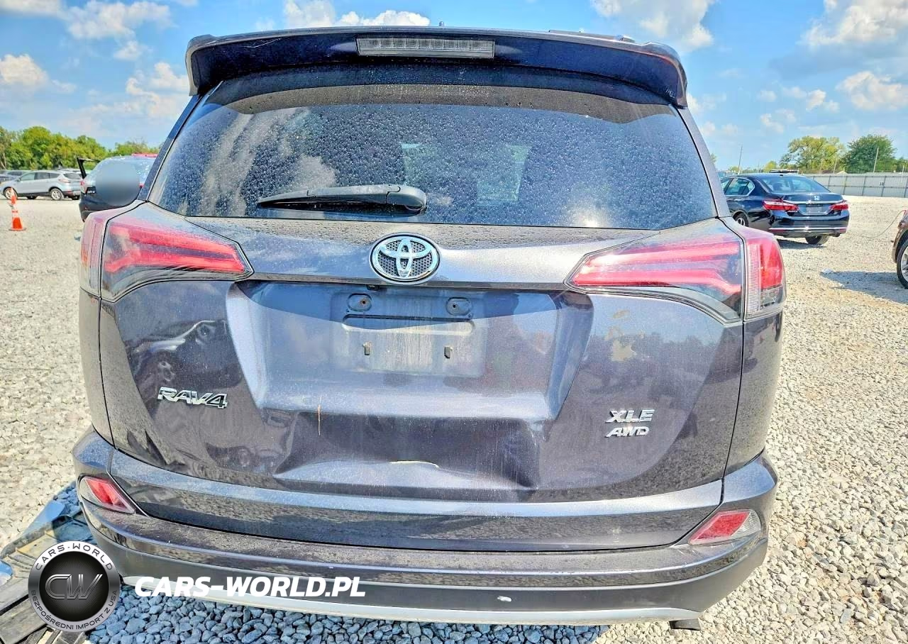 2016 Toyota Rav4 Xle VIN:2T3RFREV9GW475361 - 6