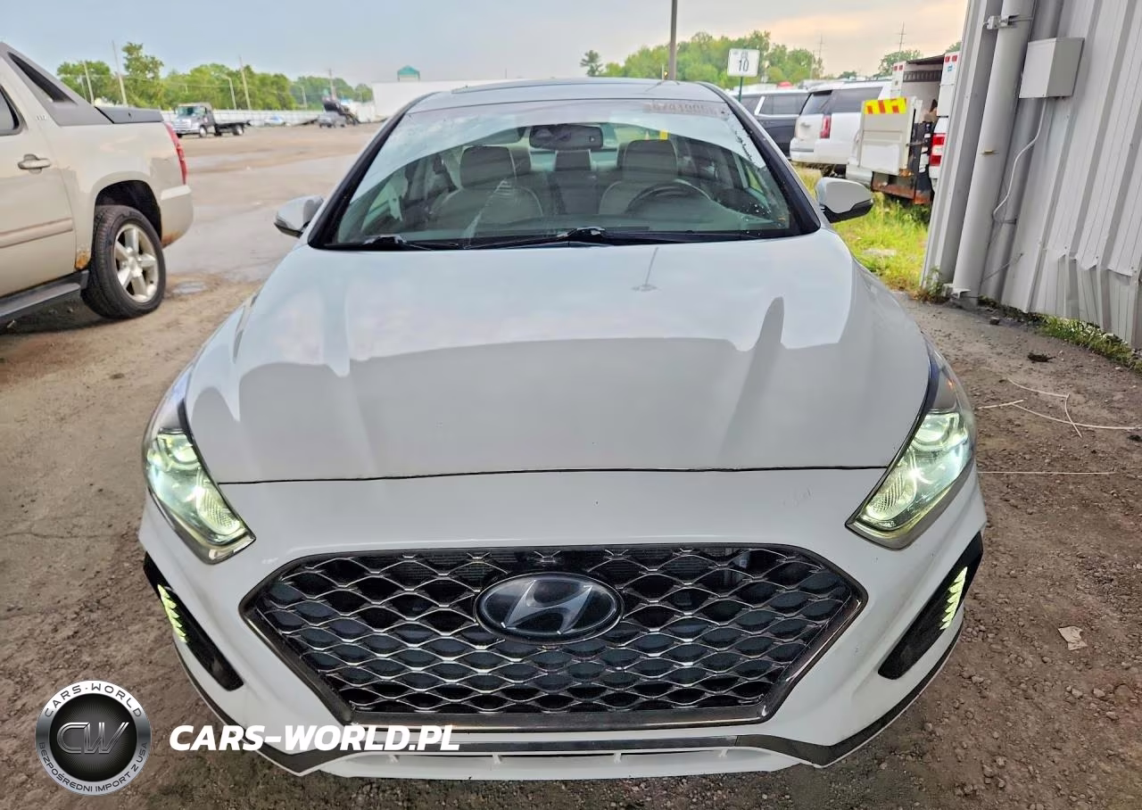 2019 Hyundai Sonata Limited VIN:5NPE34AF7KH793018 - 5