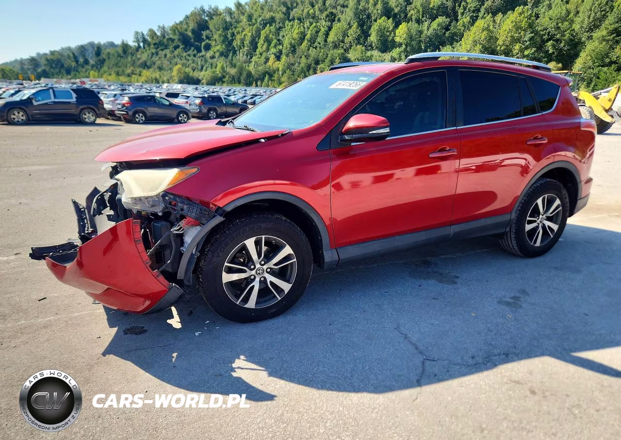 2016 Toyota Rav4 Xle VIN:2T3WFREV9GW269864 - 1