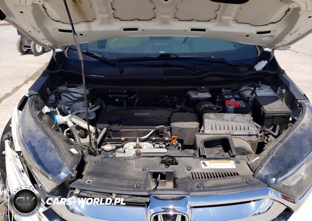 2019 Honda Cr-V Lx VIN:2HKRW5H33KH401582 - 11