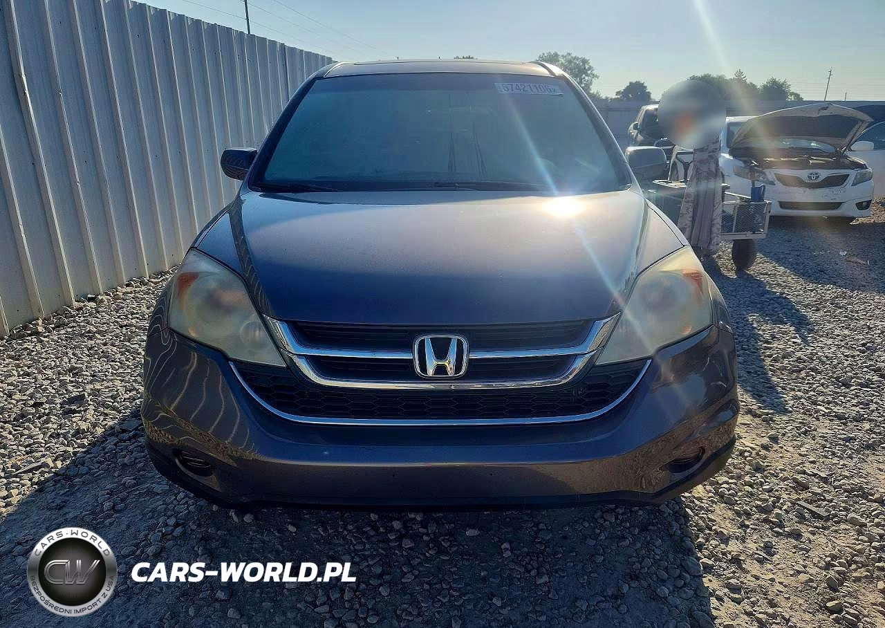 2010 Honda Cr-V Exl VIN:5J6RE4H7XAL100442 - 5